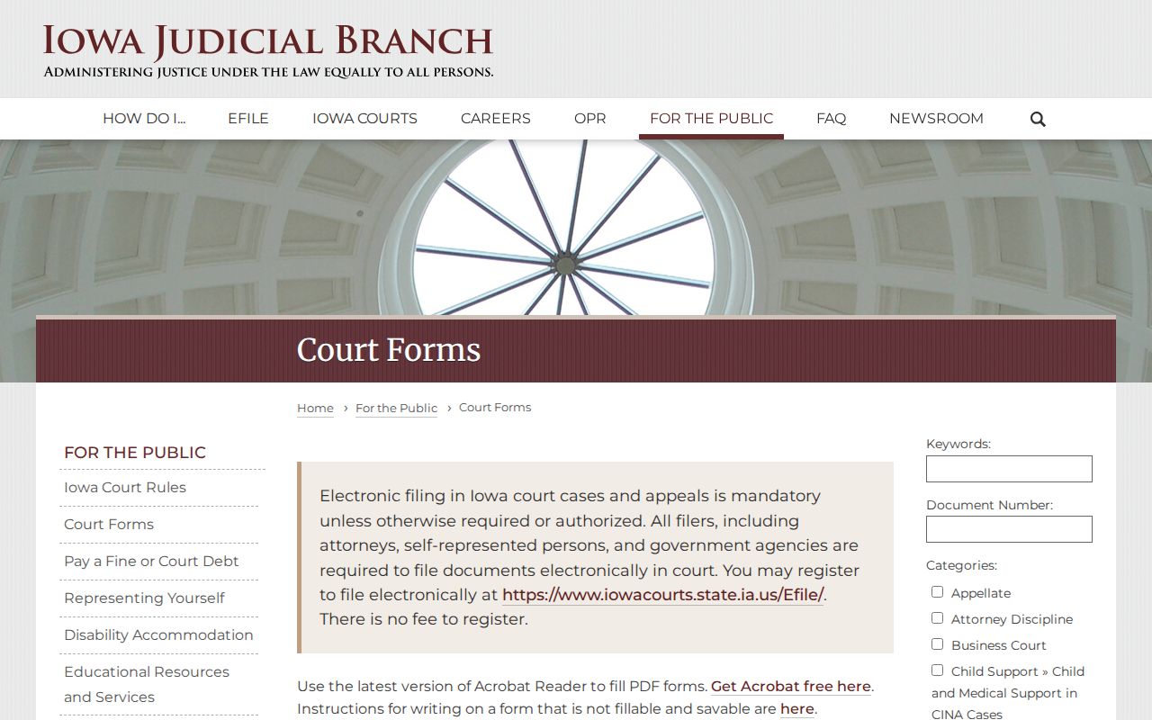 Iowa court forms for Dallas County criminal court case filings